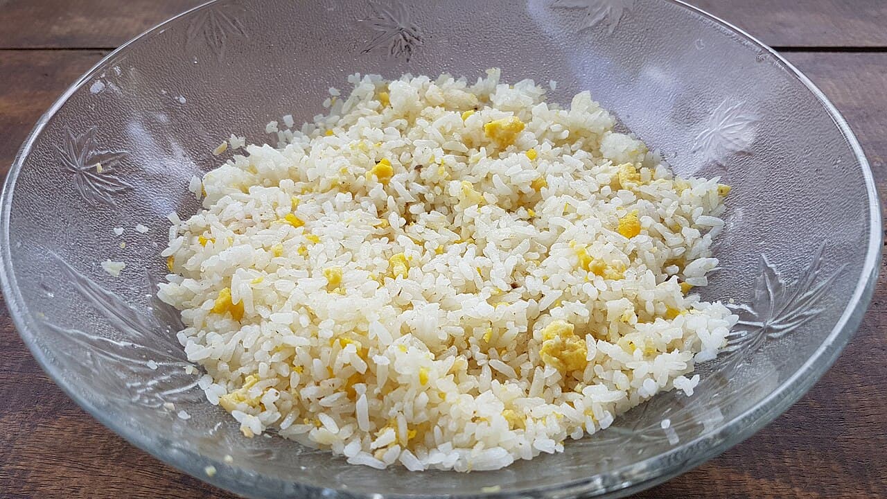 Source photograph of Garlic rice