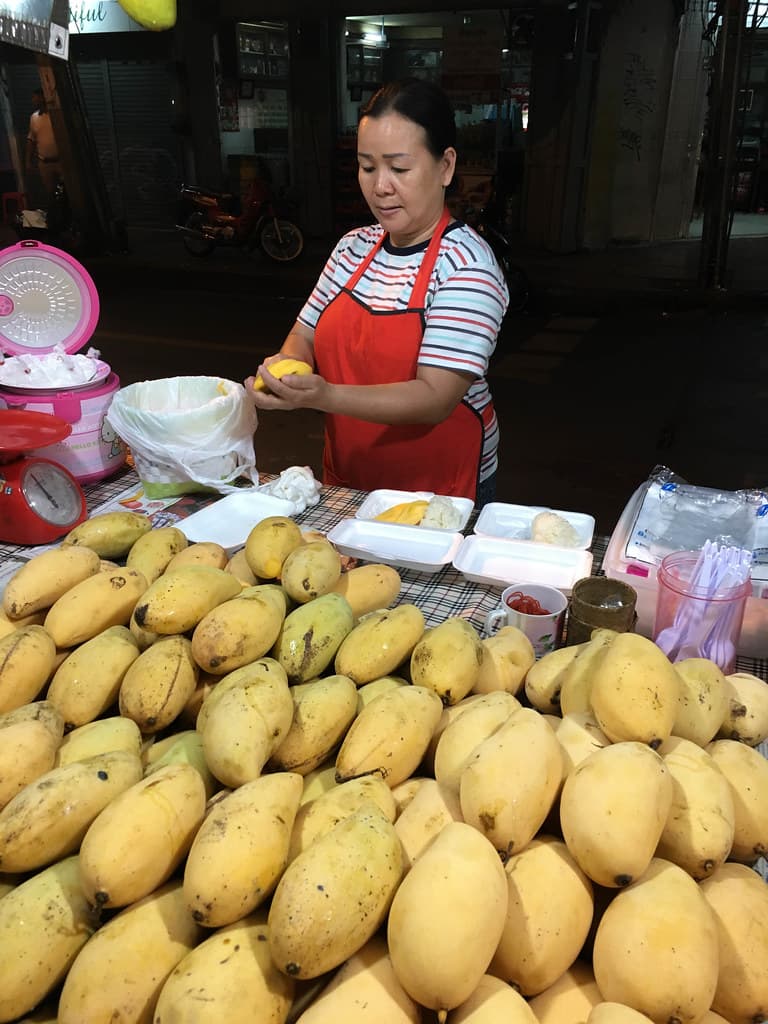 Source photograph of Mango sticky rice