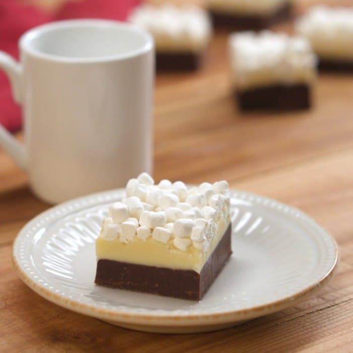 Source photograph of Hot Chocolate Fudge