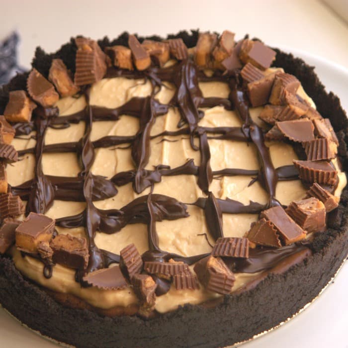 Source photograph of Peanut Butter Cheesecake
