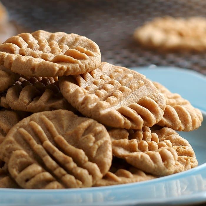 Source photograph of Peanut Butter Cookies