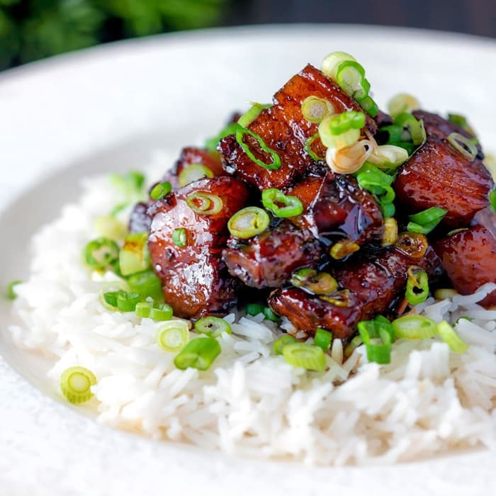 Source photograph of Vietnamese-style caramel pork