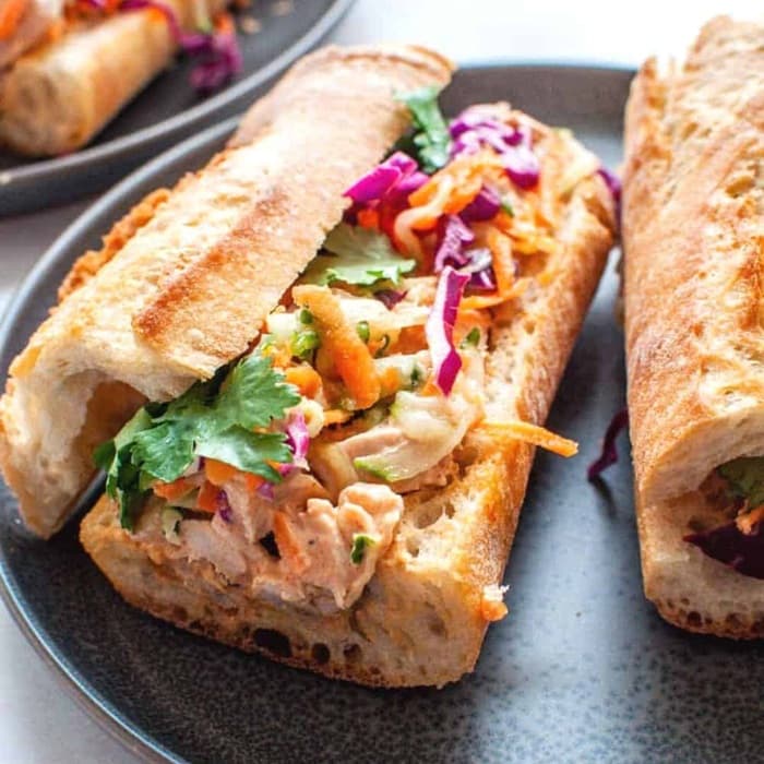 Source photograph of Turkey Bánh mì