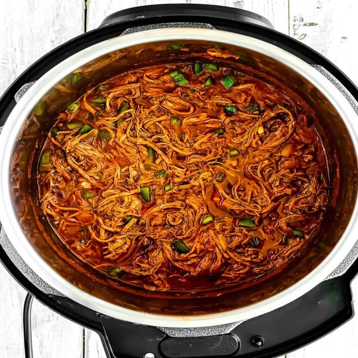 Source photograph of Venezuelan Shredded Beef