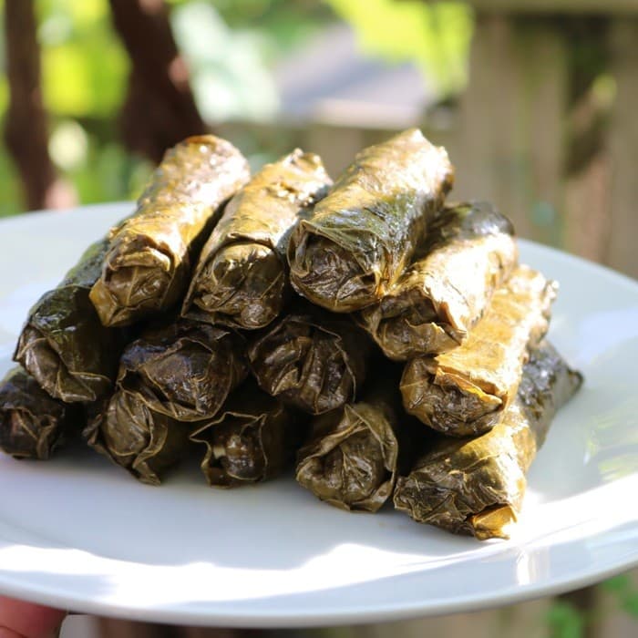 Source photograph of Stuffed Grape Leaves